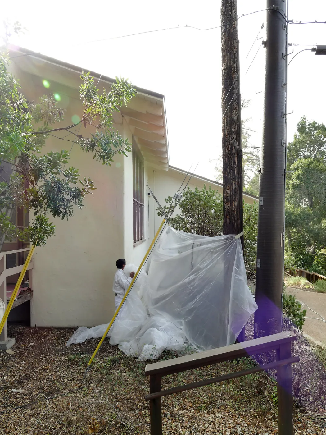 Old Herbarium, now Education Center, repainting