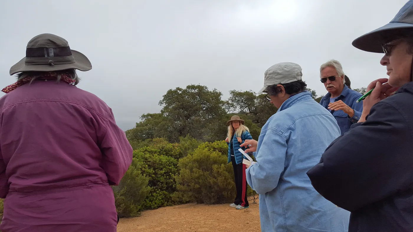 Santa Cruz Island Trip, group looking at Arctostaphylos (Manzanita) with Steve Junak (Diane Fox, Diane Galvan, Steve Junak)