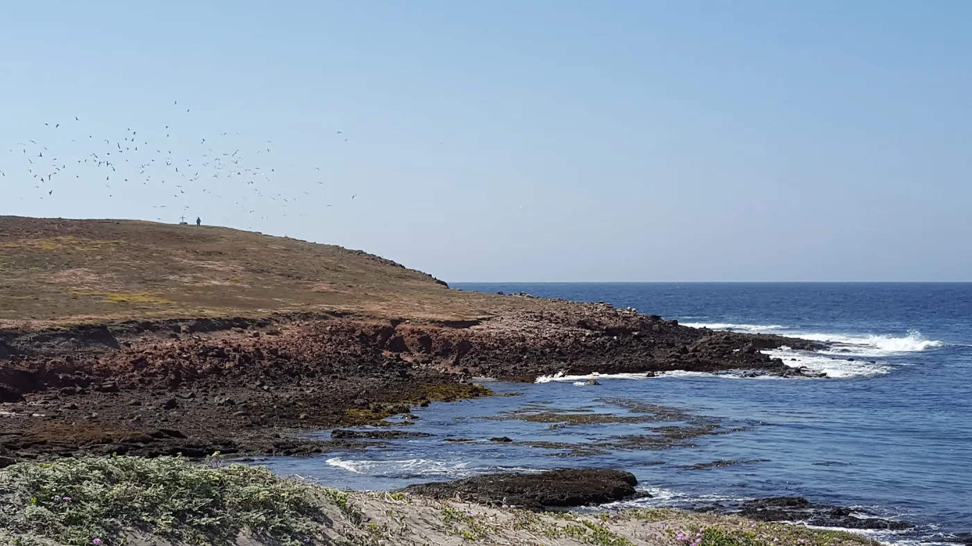 Santa Cruz Island Trip, Fraser Point