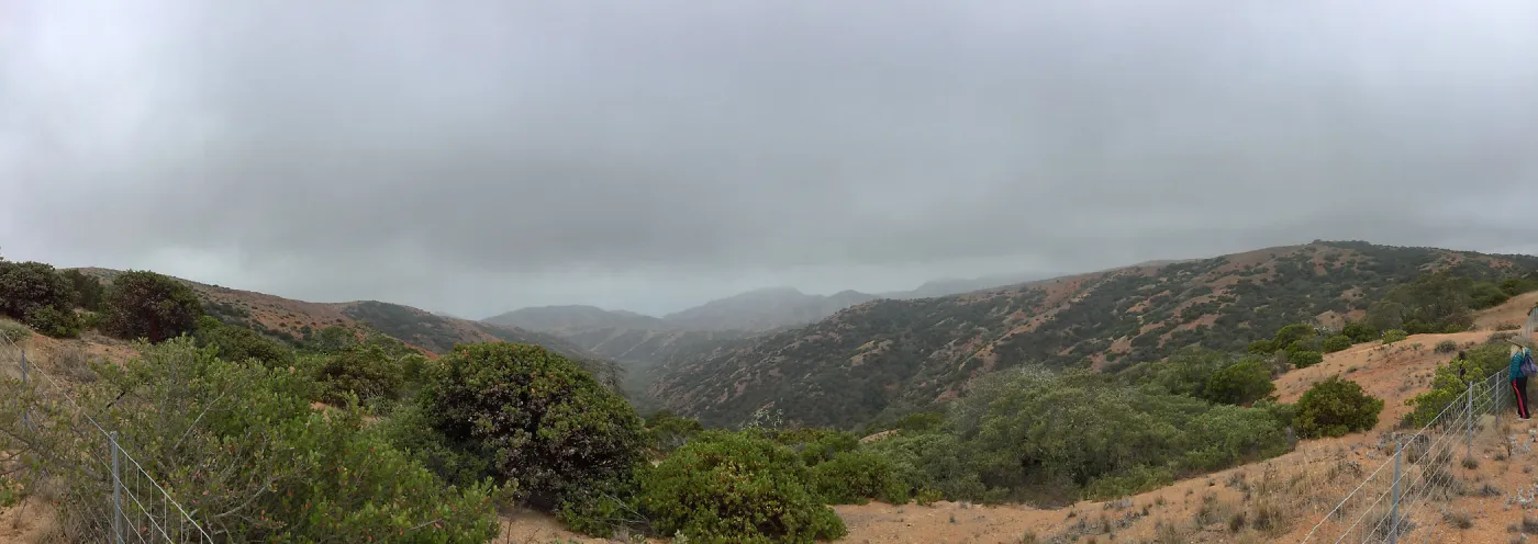 Santa Cruz Island Trip