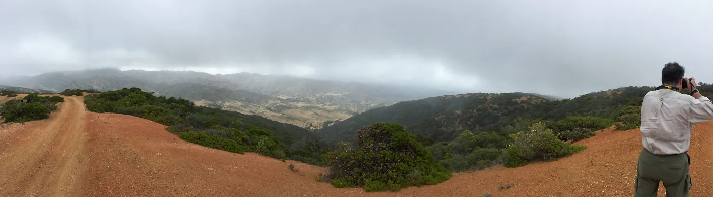 Santa Cruz Island Trip, Chuck Rennie looking out over landscape