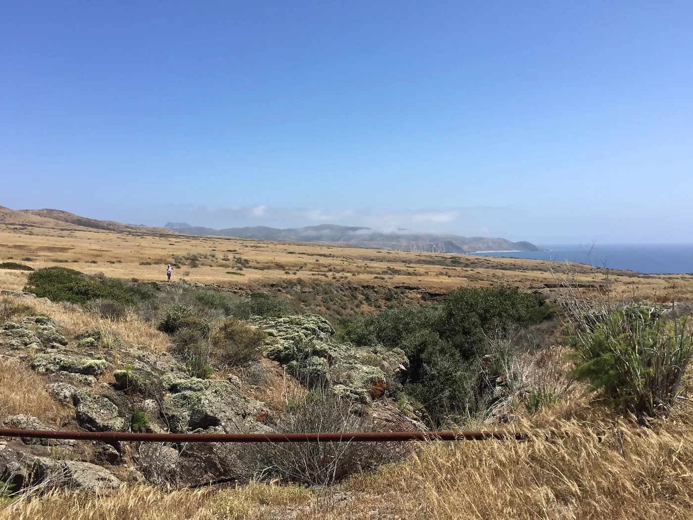 Santa Cruz Island Trip, group explores grasslands