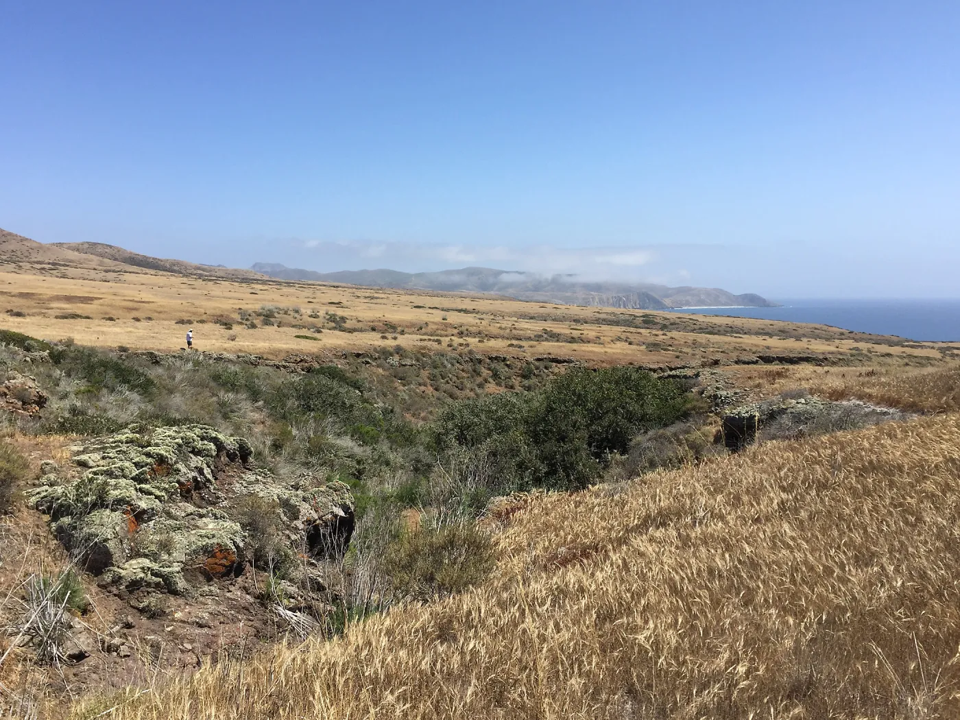 Santa Cruz Island Trip, group explores grasslands