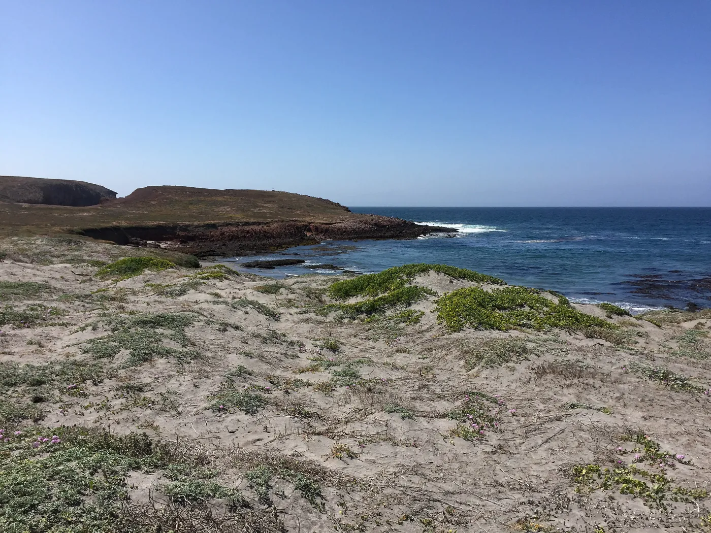 Santa Cruz Island Trip, Fraser Point