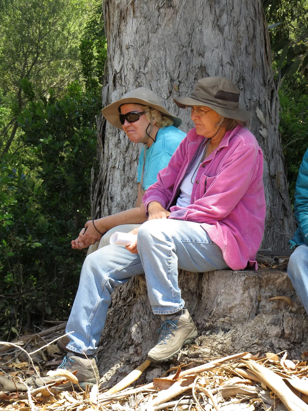 Santa Cruz Island Trip, Diane Galvan and Diane Fox sitting under eucalyptus tree