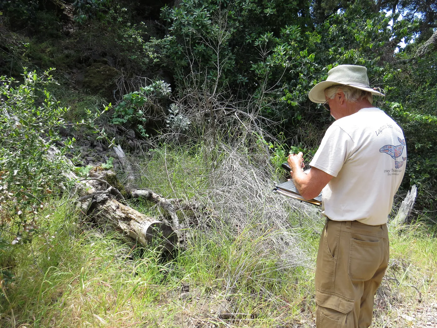 Santa Cruz Island Trip, Steve Junak documenting plant species