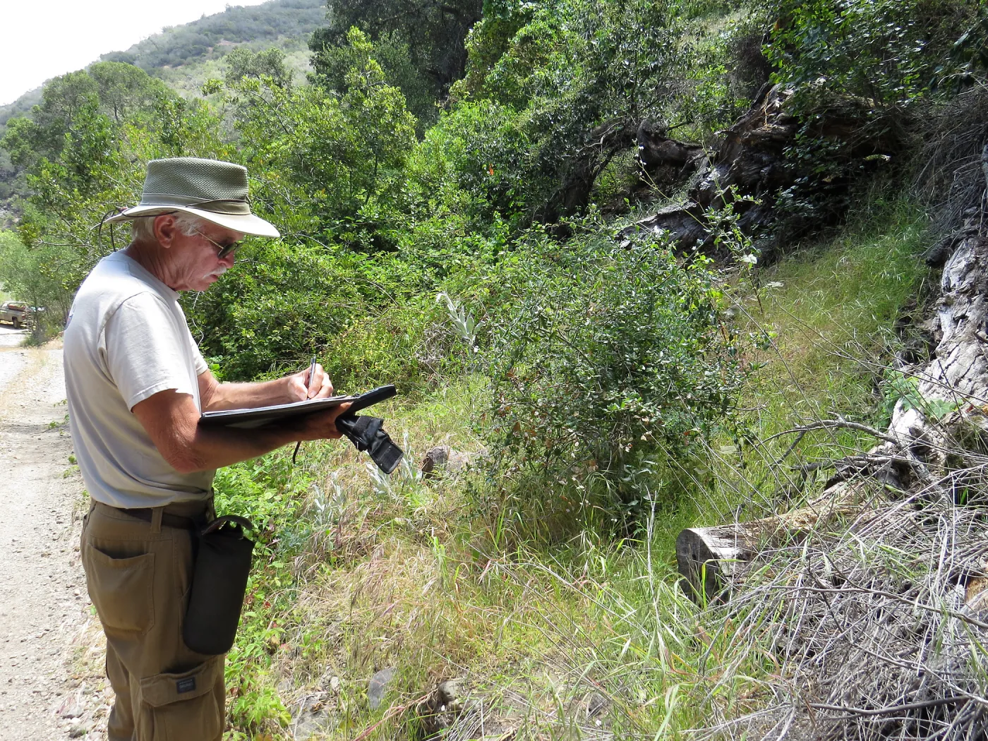 Santa Cruz Island Trip, Steve Junak documenting plant species