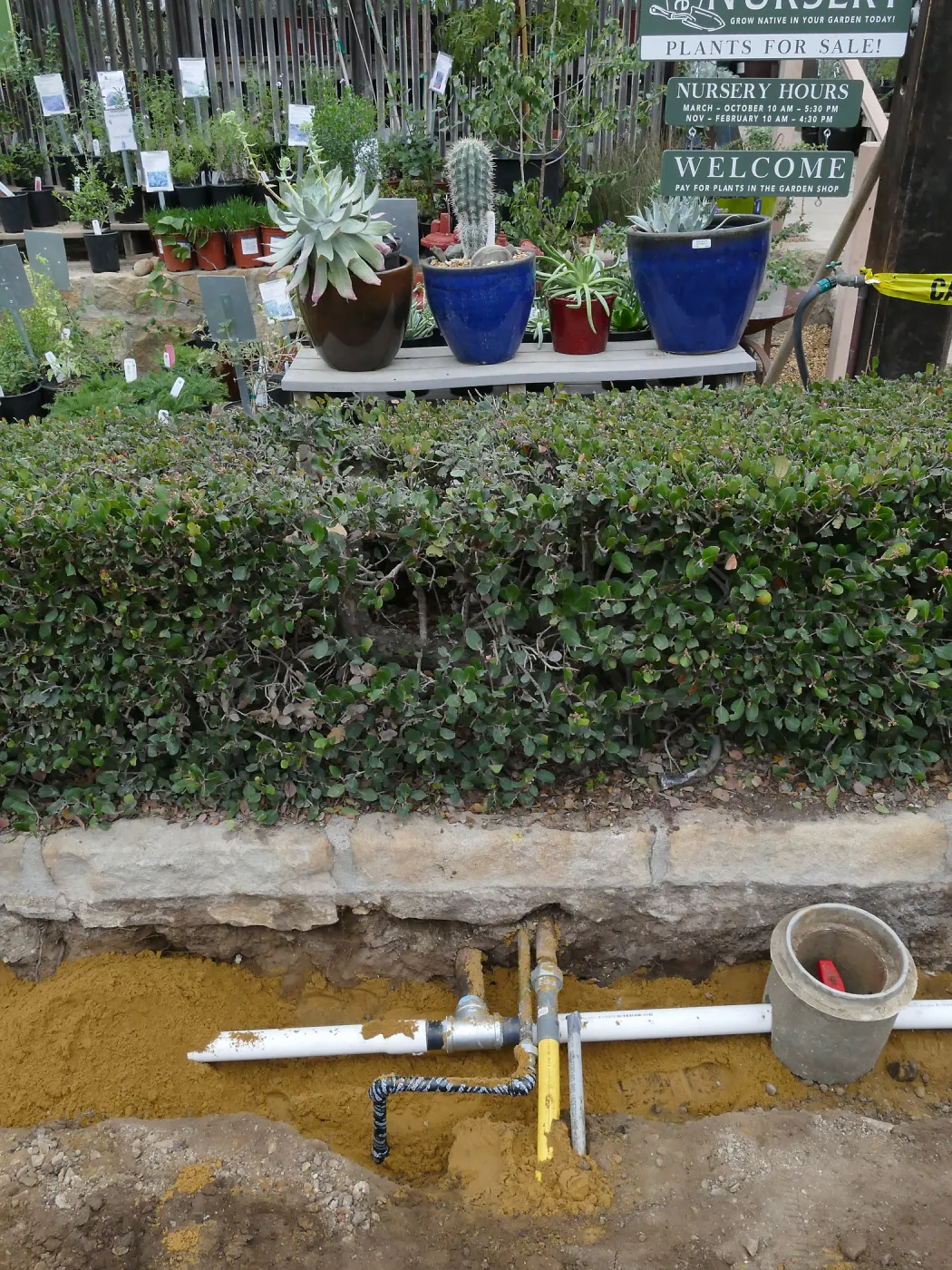 Courtyard renovation, rerouting piping, middle of courtyard looking west, northern of 2 crossings