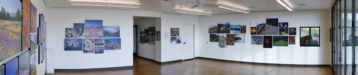 Pritzlaff Conservation Center Exhibit Room, Bob Haller Plants of California Photography Exhibit, panoramic view of north and east walls