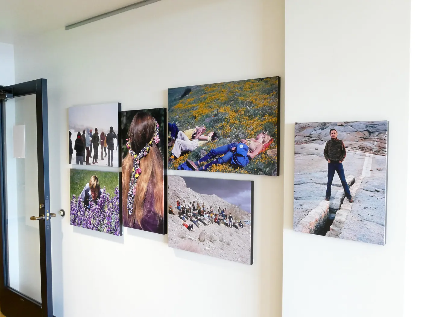 Pritzlaff Conservation Center Exhibit Room, Bob Haller Plants of California Photography Exhibit, entry hall east wall