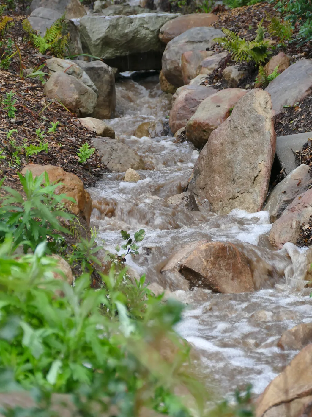 Arroyo creekbed during winter rainstorm