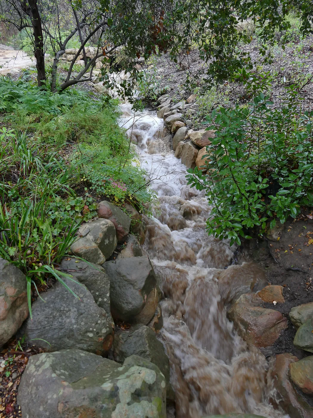 Arroyo creekbed during winter rainstorm