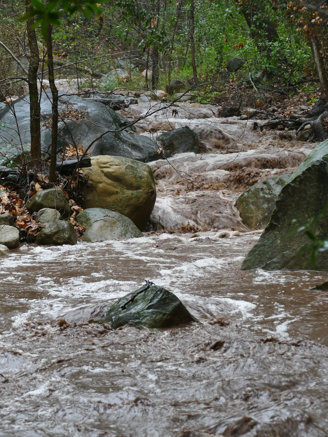 Mission Creek during rainstorm, just above lower crossing