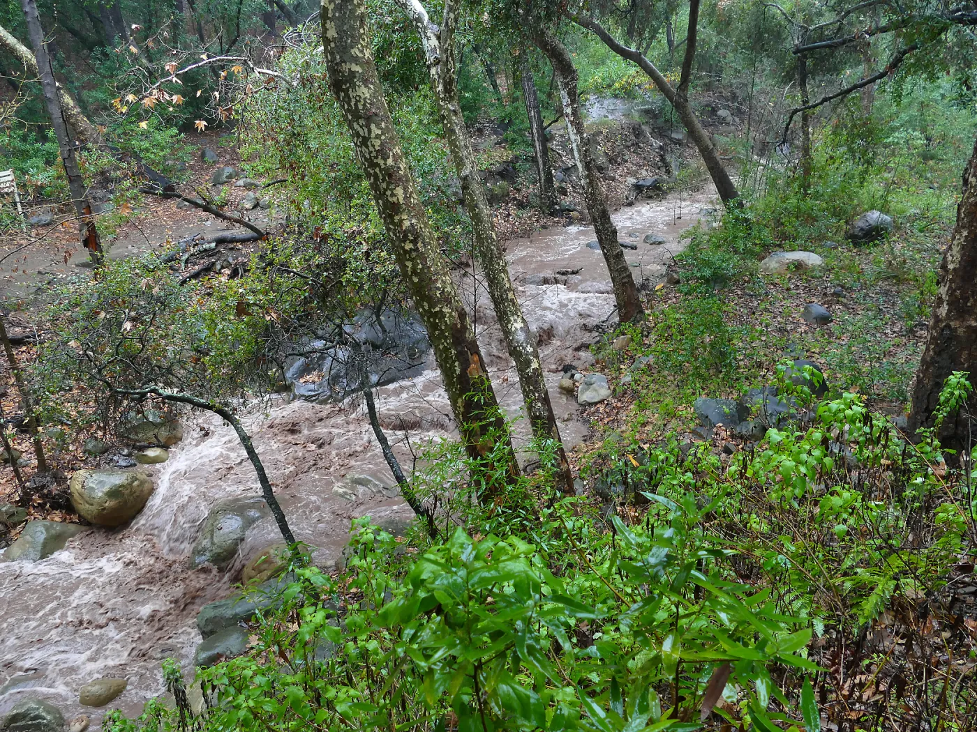 Mission Creek during rainstorm, just above lower crossing