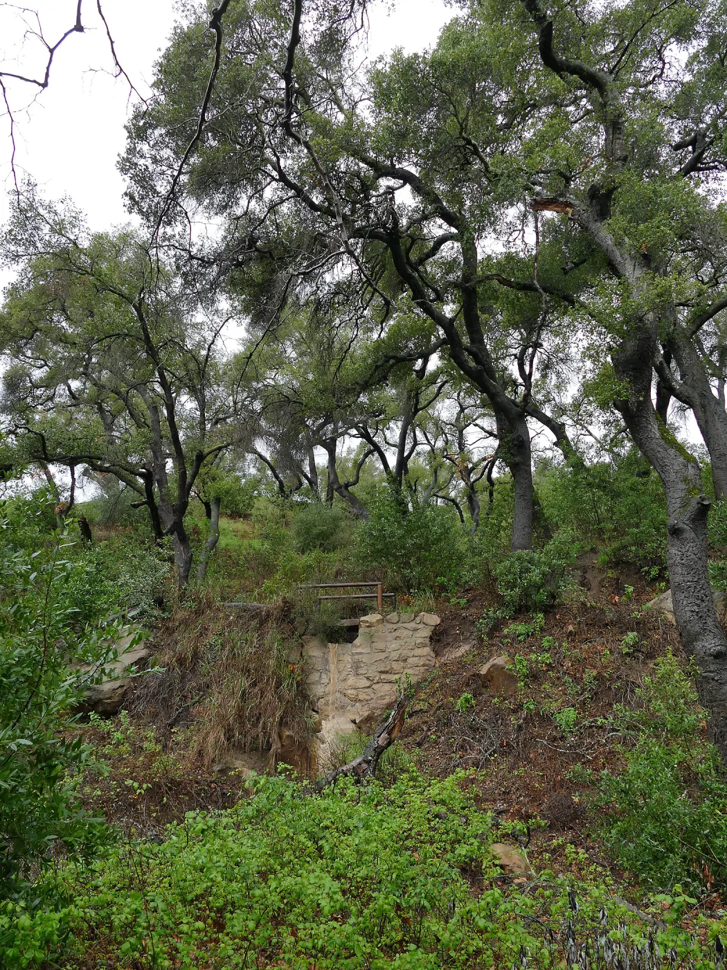 Footbridge on Pritchett Trail during rainstorm