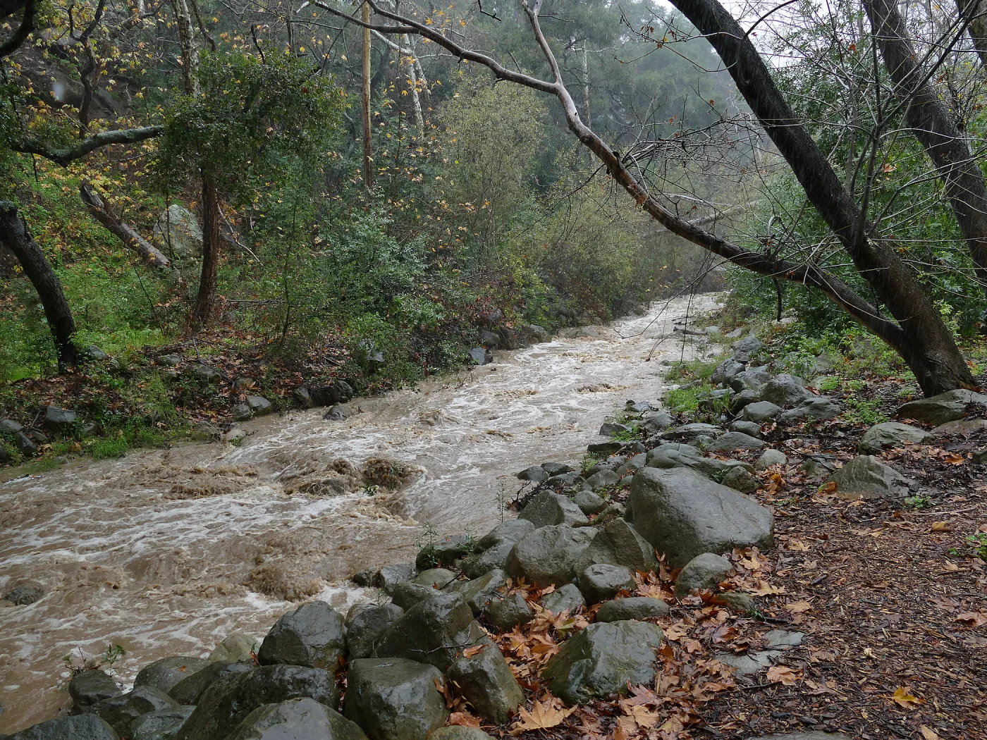 Mission Creek above Redwood Section during rainstorm
