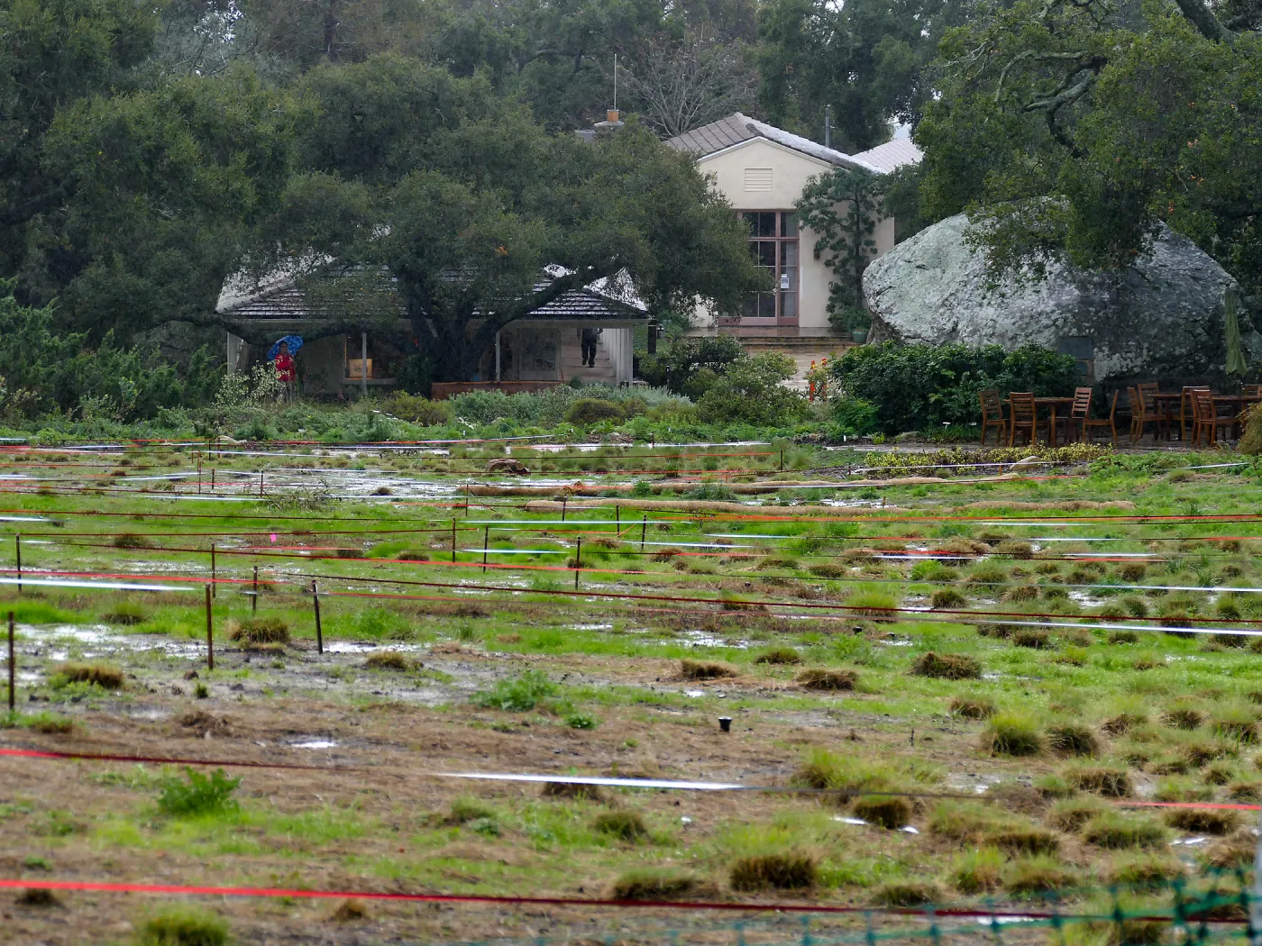 Meadow, Garden Shop, Blaksley Library in rain