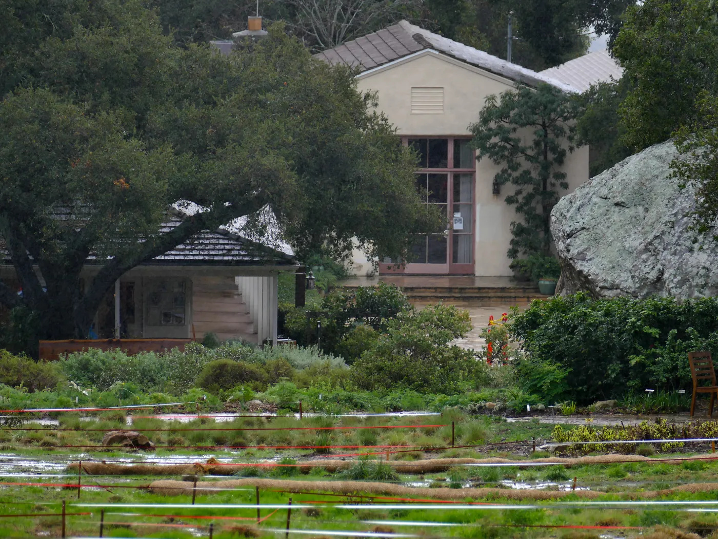 Meadow, Garden Shop, Blaksley Library in rain