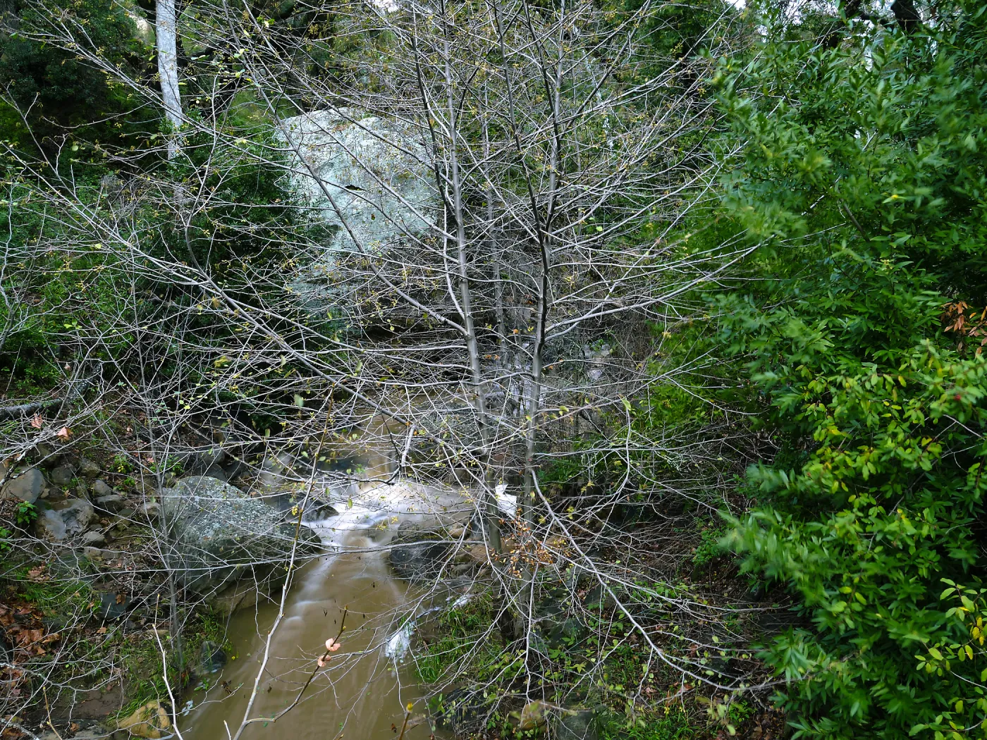Alder, Mission Creek and Lassiter Boulder north of Campbell Bridge
