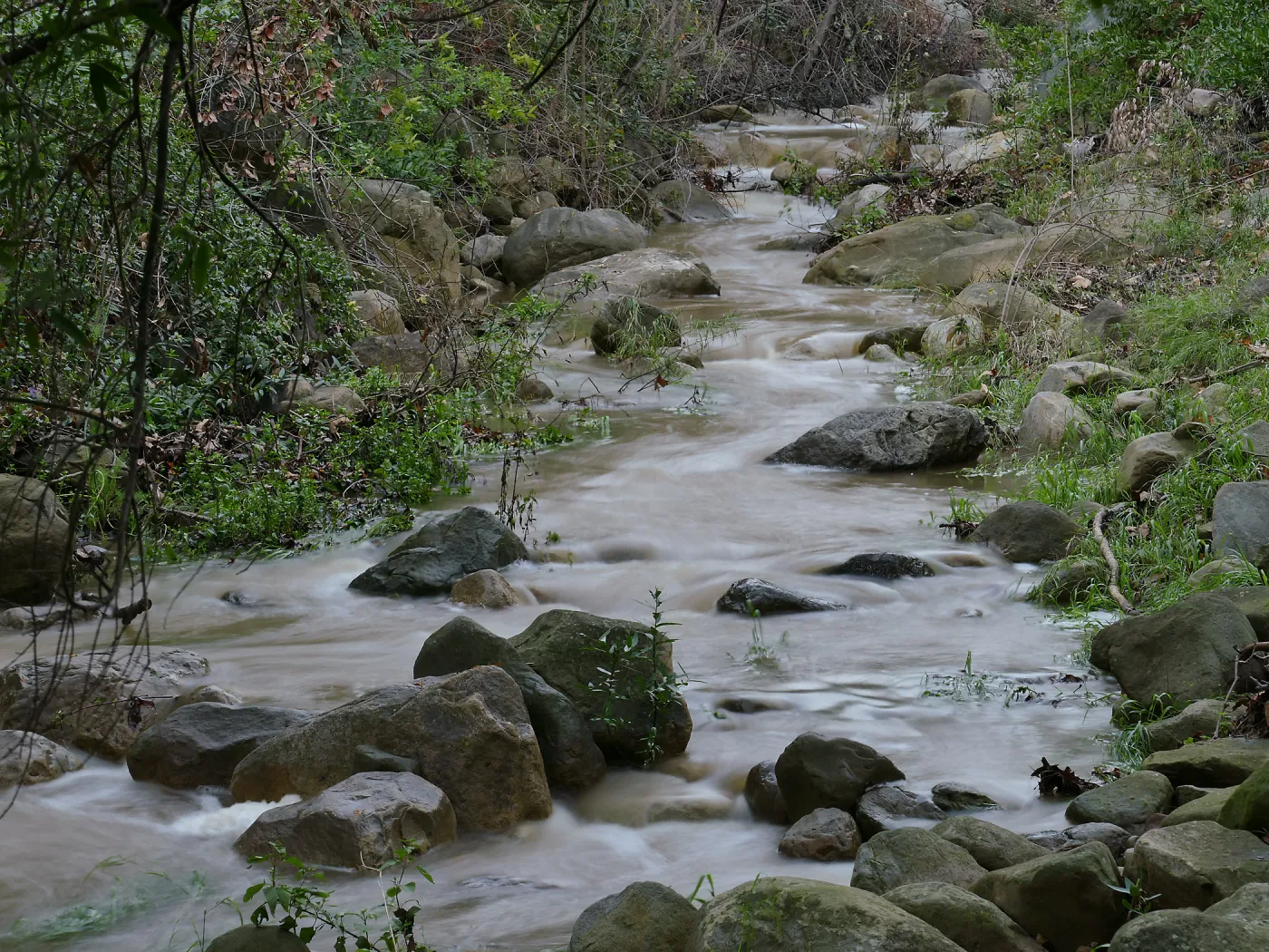 Mission Creek above Redwood Section
