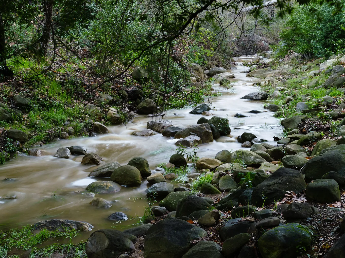 Mission Creek above Redwood Section