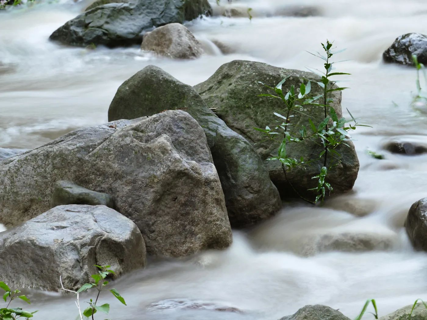 Mission Creek above Redwood Section