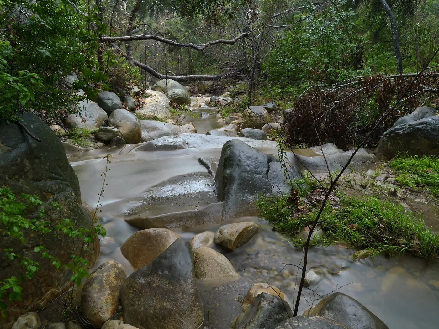 Mission Creek below lower crossing