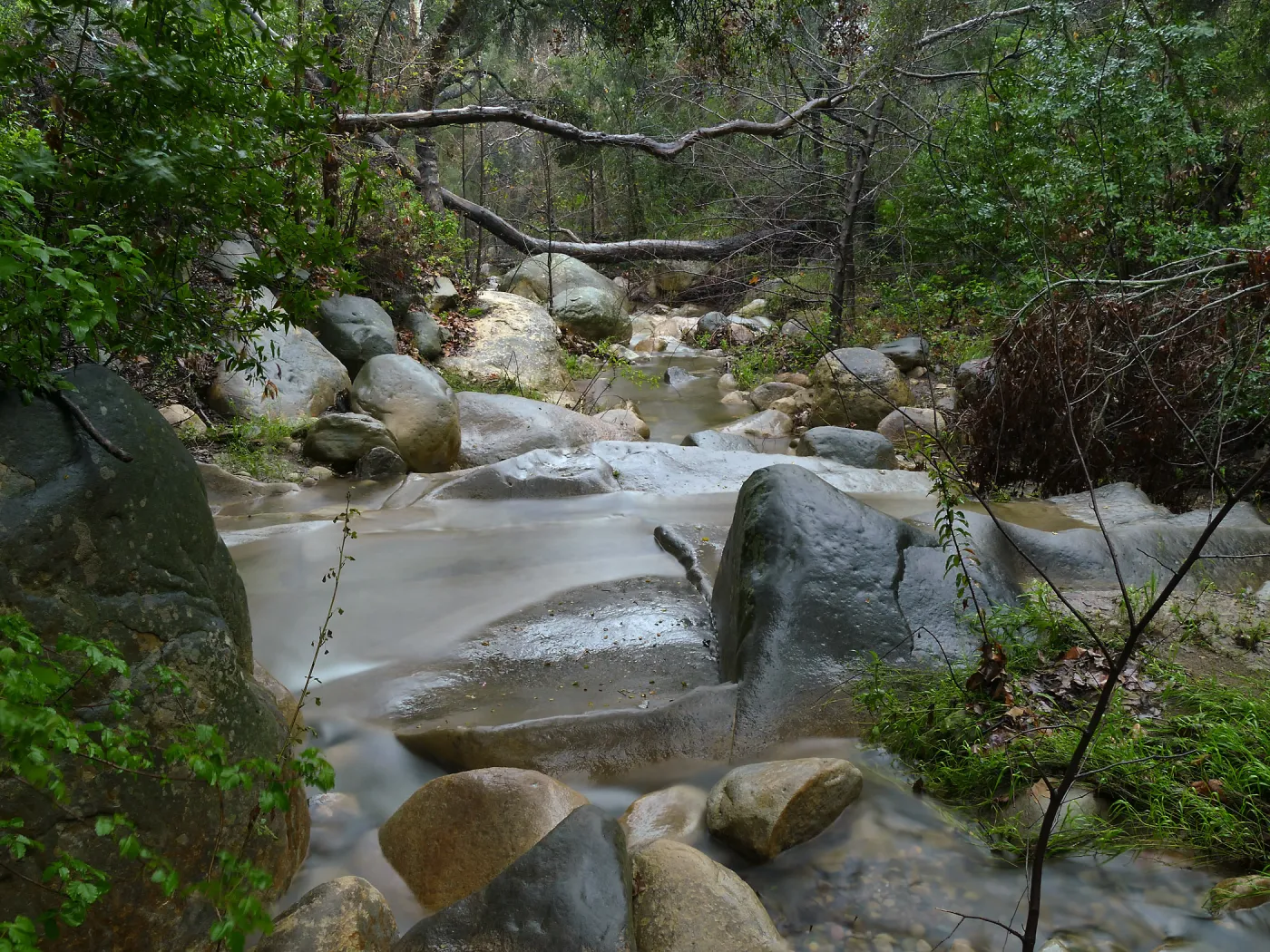 Mission Creek below lower crossing