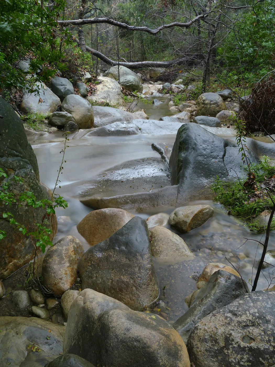 Mission Creek below lower crossing