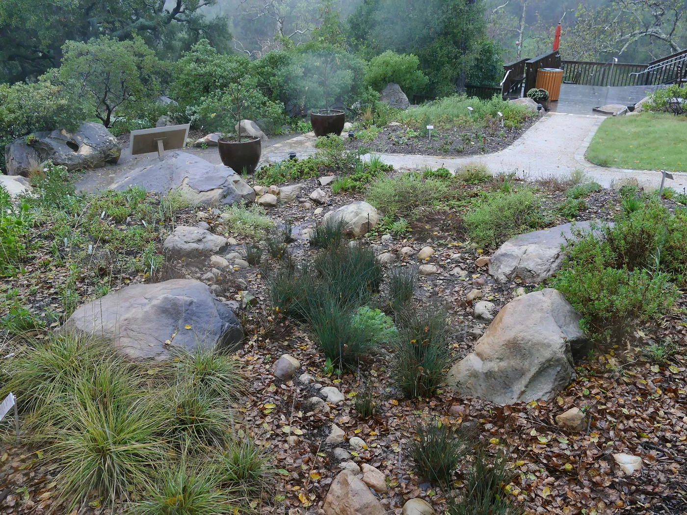 Water Wise Home Garden Vegetative Swale