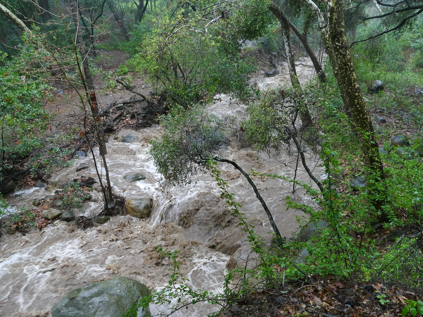 Mission Creek above lower crossing during rainstorm