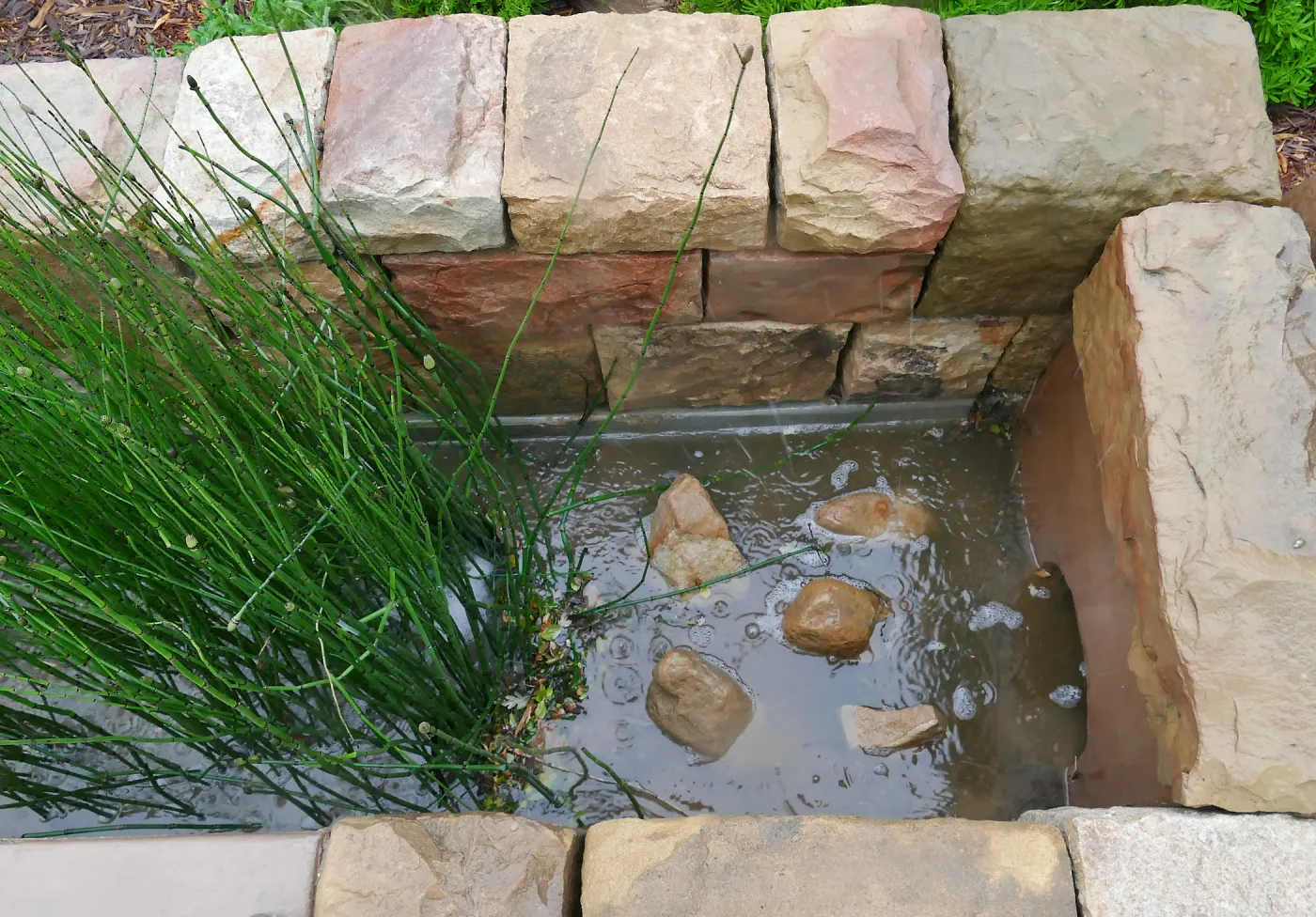 Bioswale at the Pritzlaff Conservation Center filtering runoff during a rainstorm