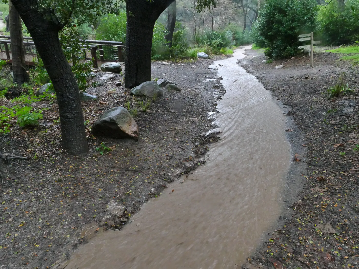 Stormwater flowing down Canyon Trail past Campbell Bridge