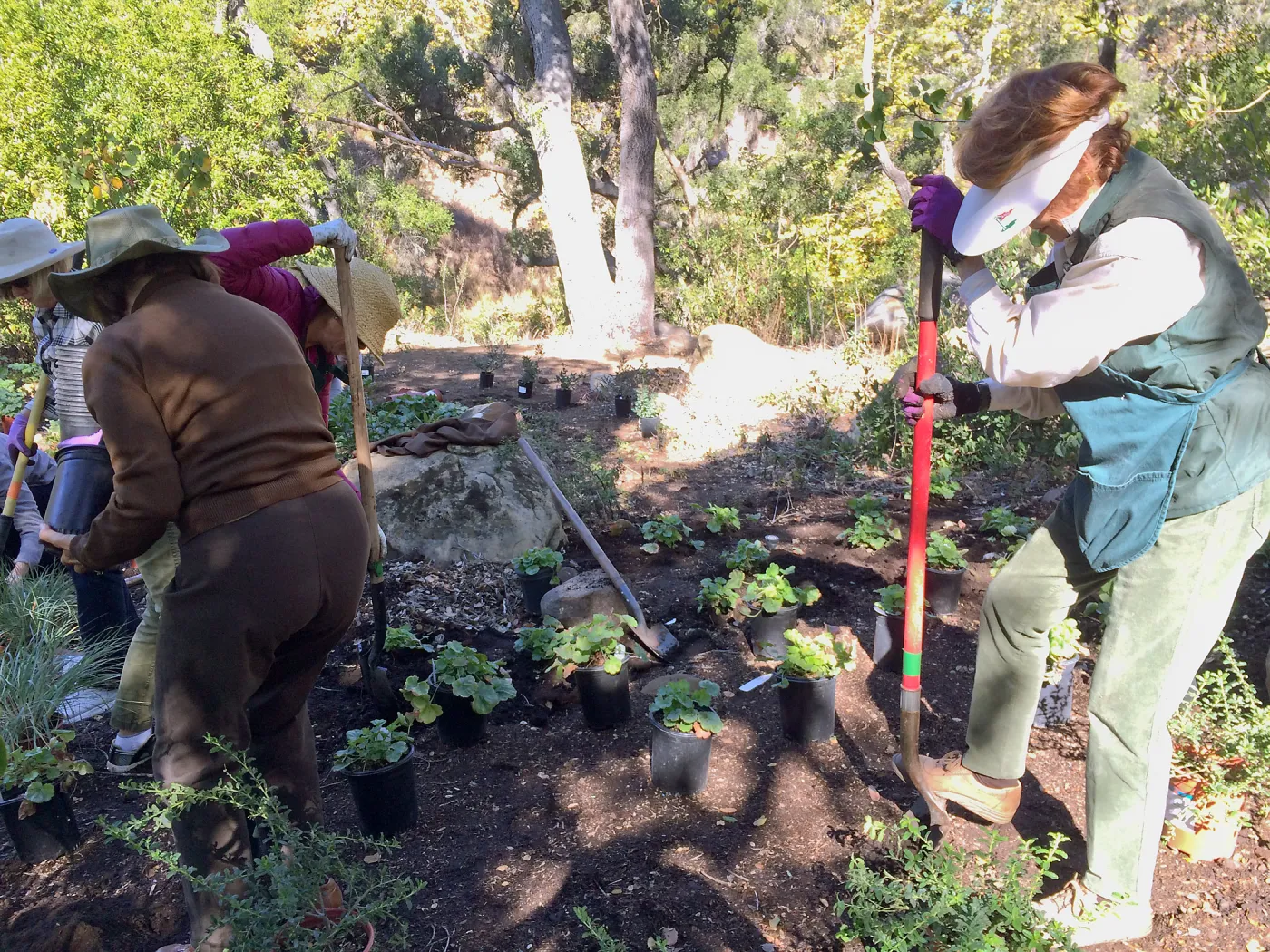 Volunteers helping with installation of the Wooded Dell
