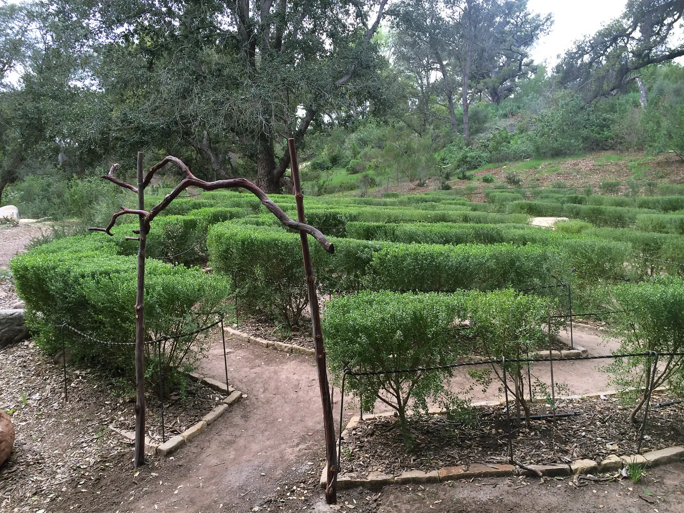 Arch at the Centennial Maze