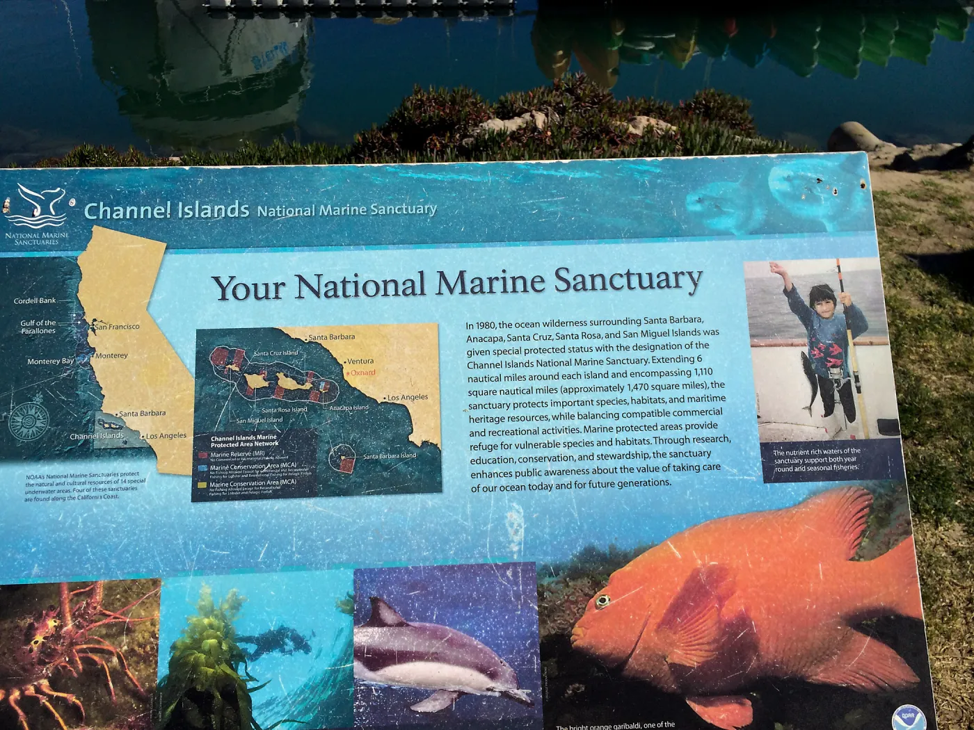 Interpretive sign at Channel Islands National Marine Sanctuary