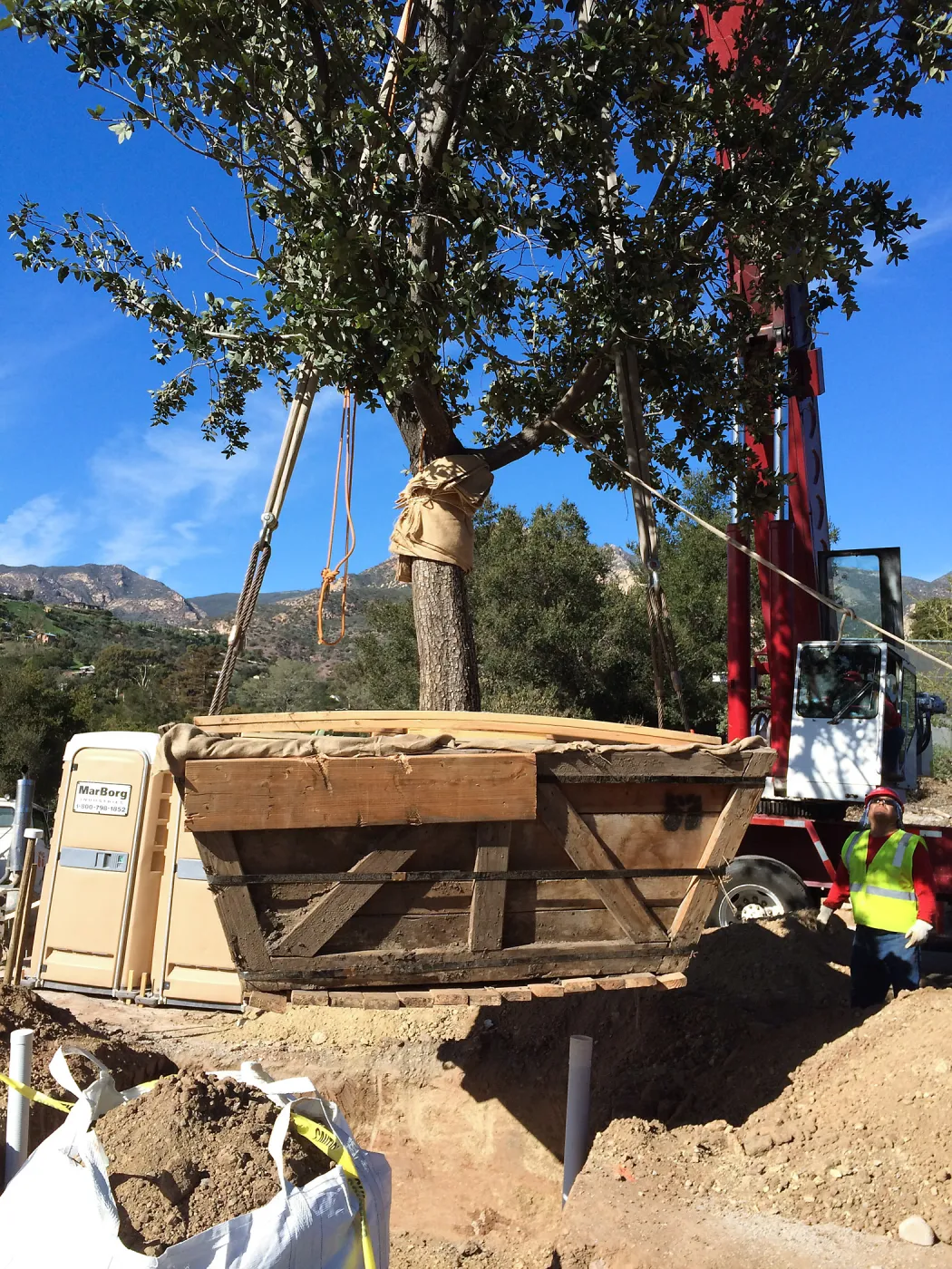 Planting of Island Oaks at the Pritzlaff Conservation Center
