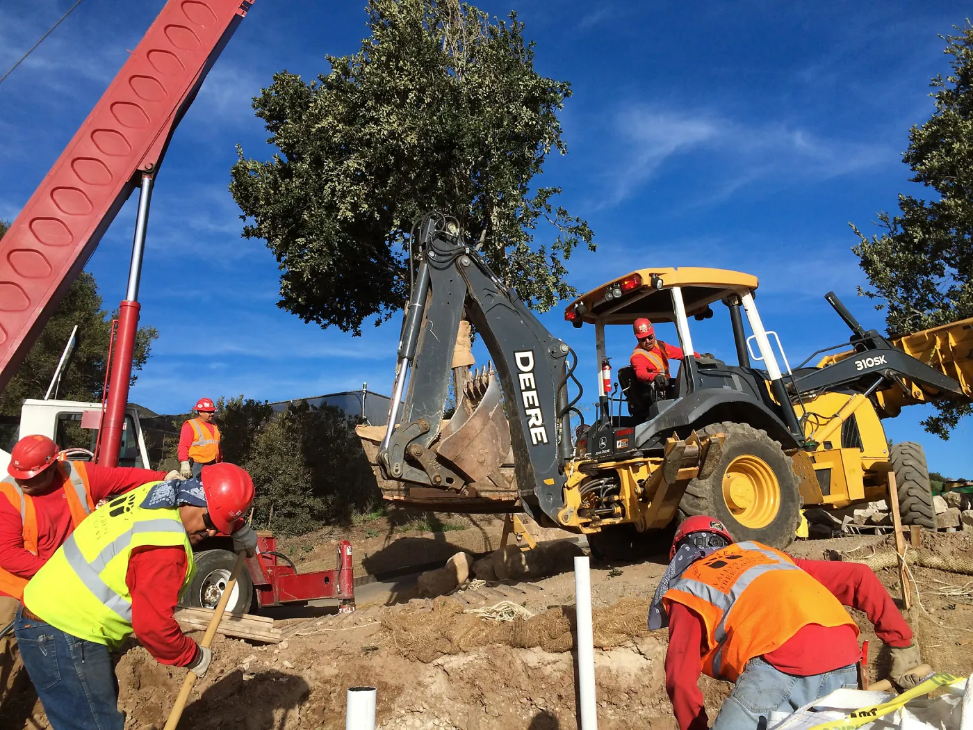 Planting of Island Oaks at the Pritzlaff Conservation Center