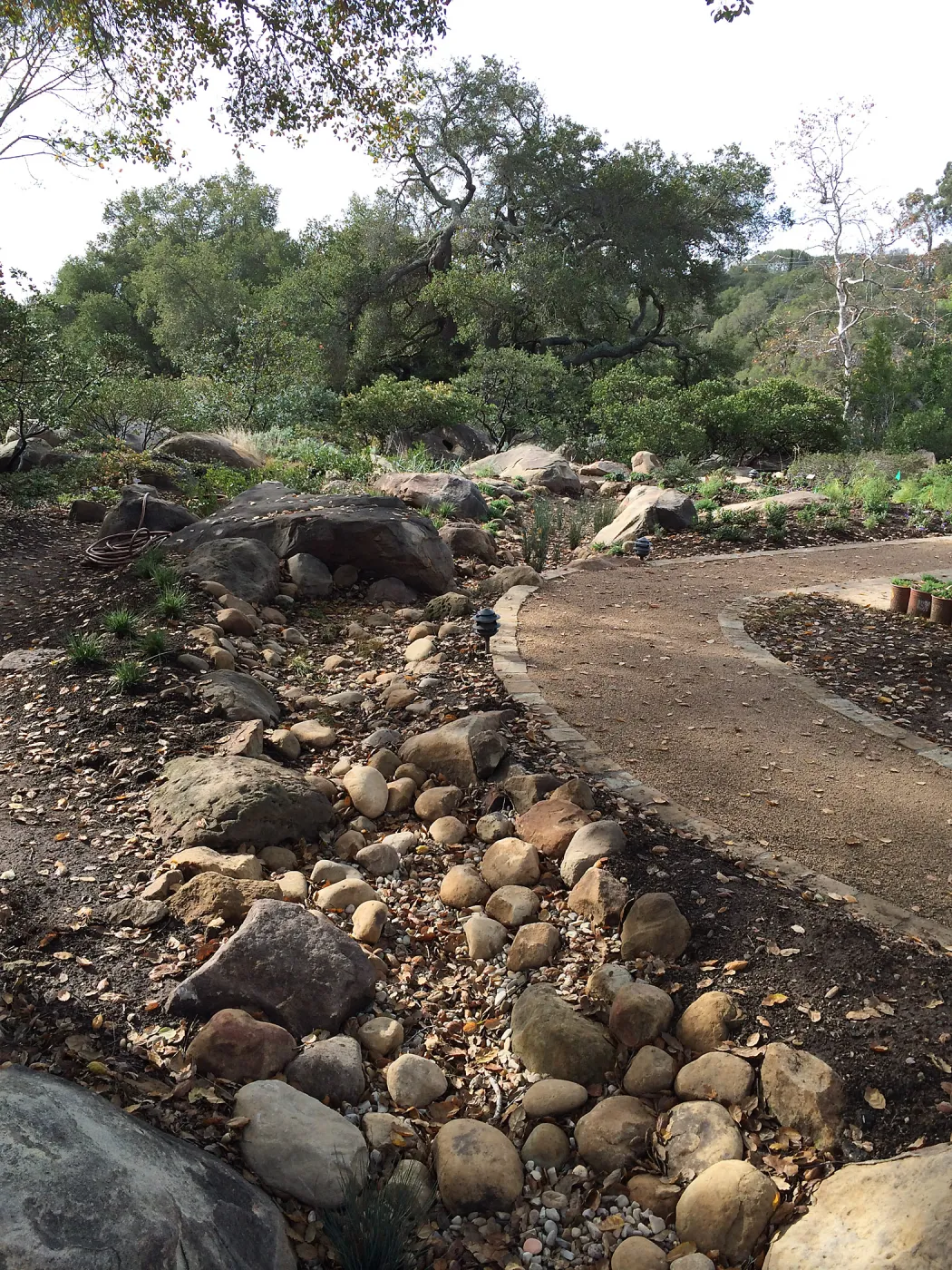 First plantings at Water Wise Home Garden