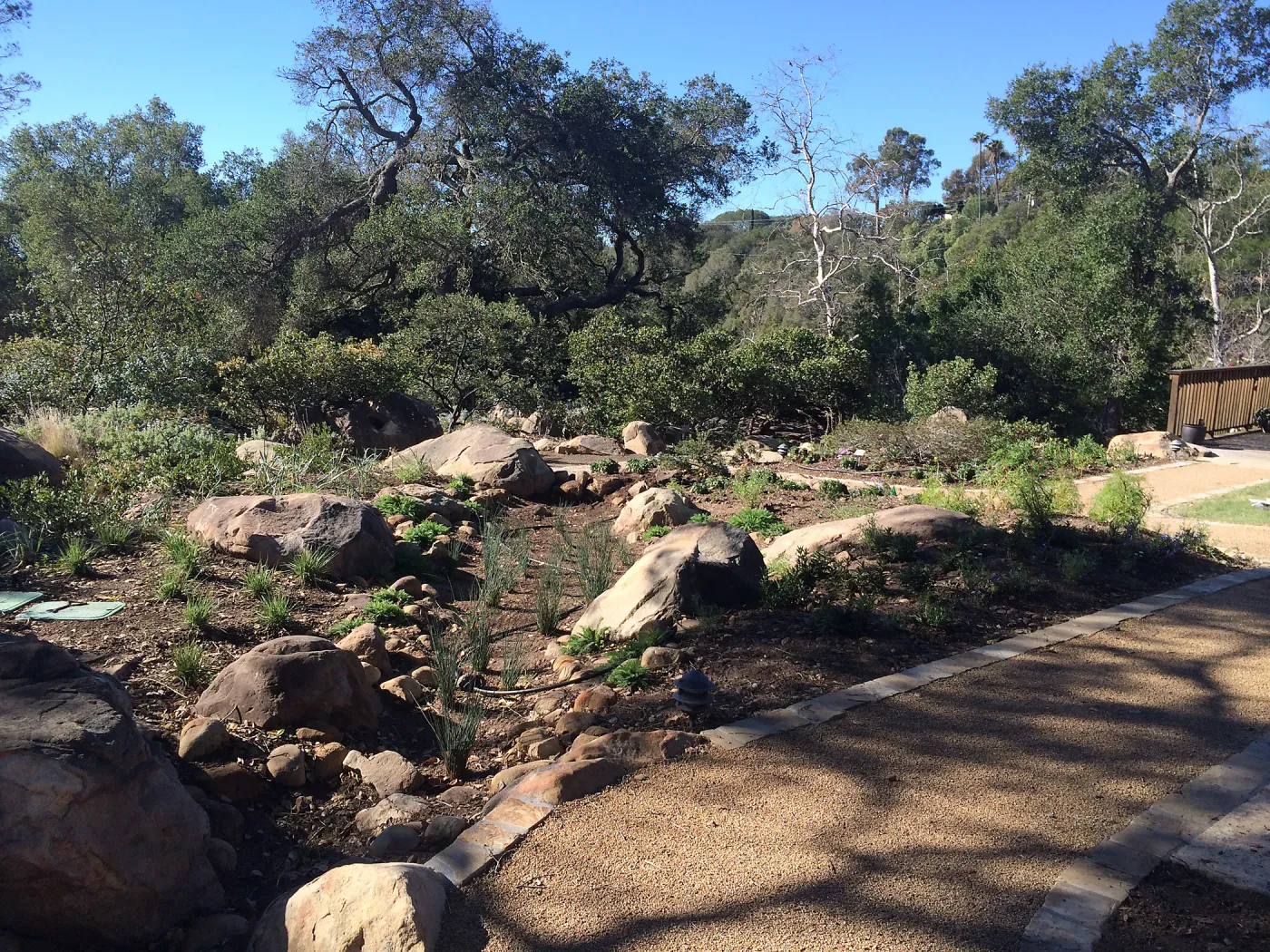Eco-Pave paths and vegetative swale at the Water Wise Home Garden