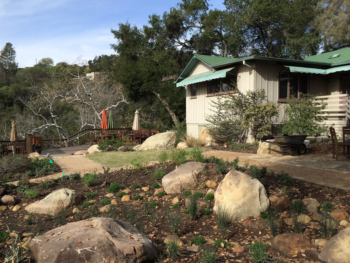 First plantings at Water Wise Home Garden