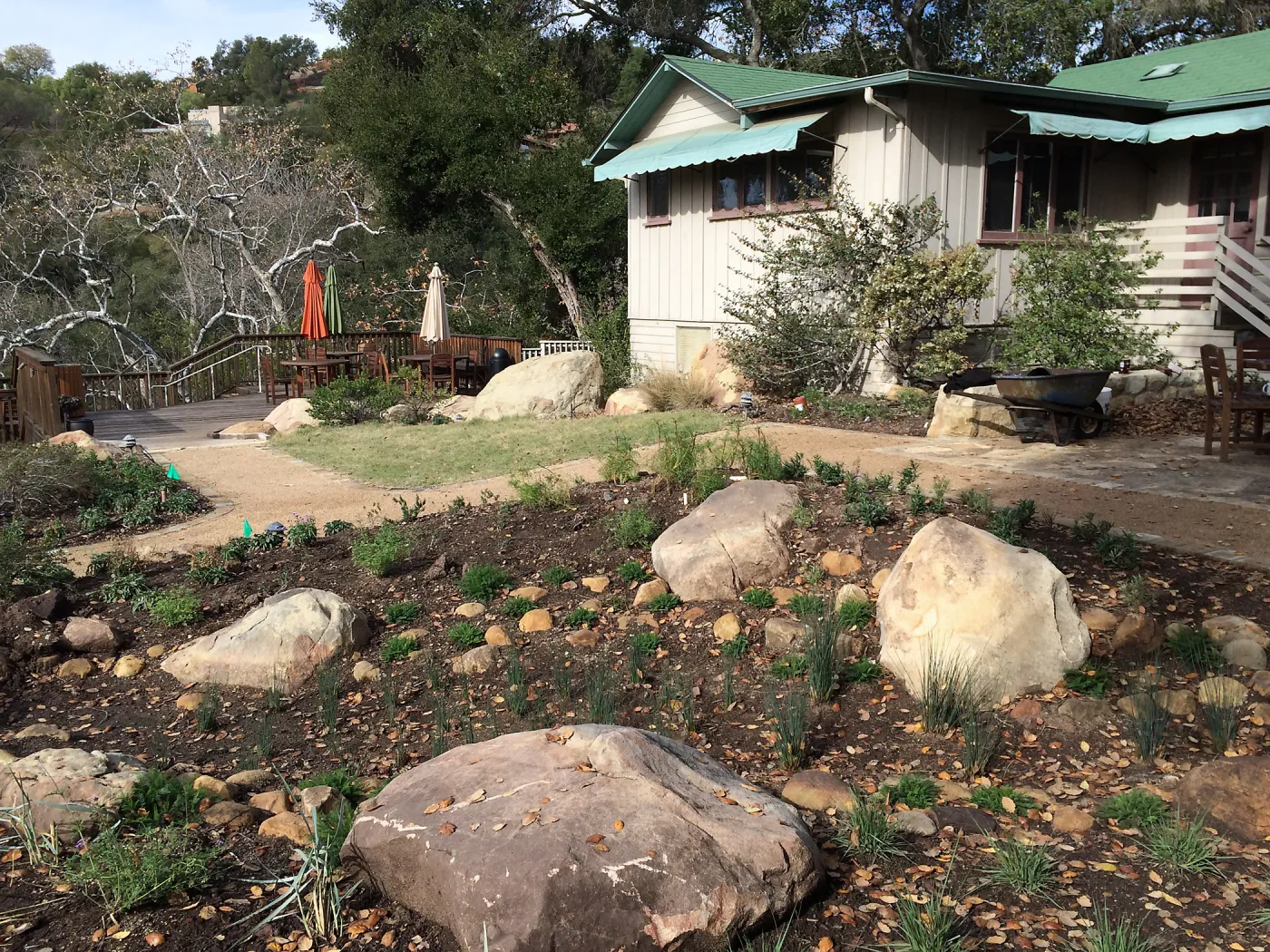 First plantings at Water Wise Home Garden