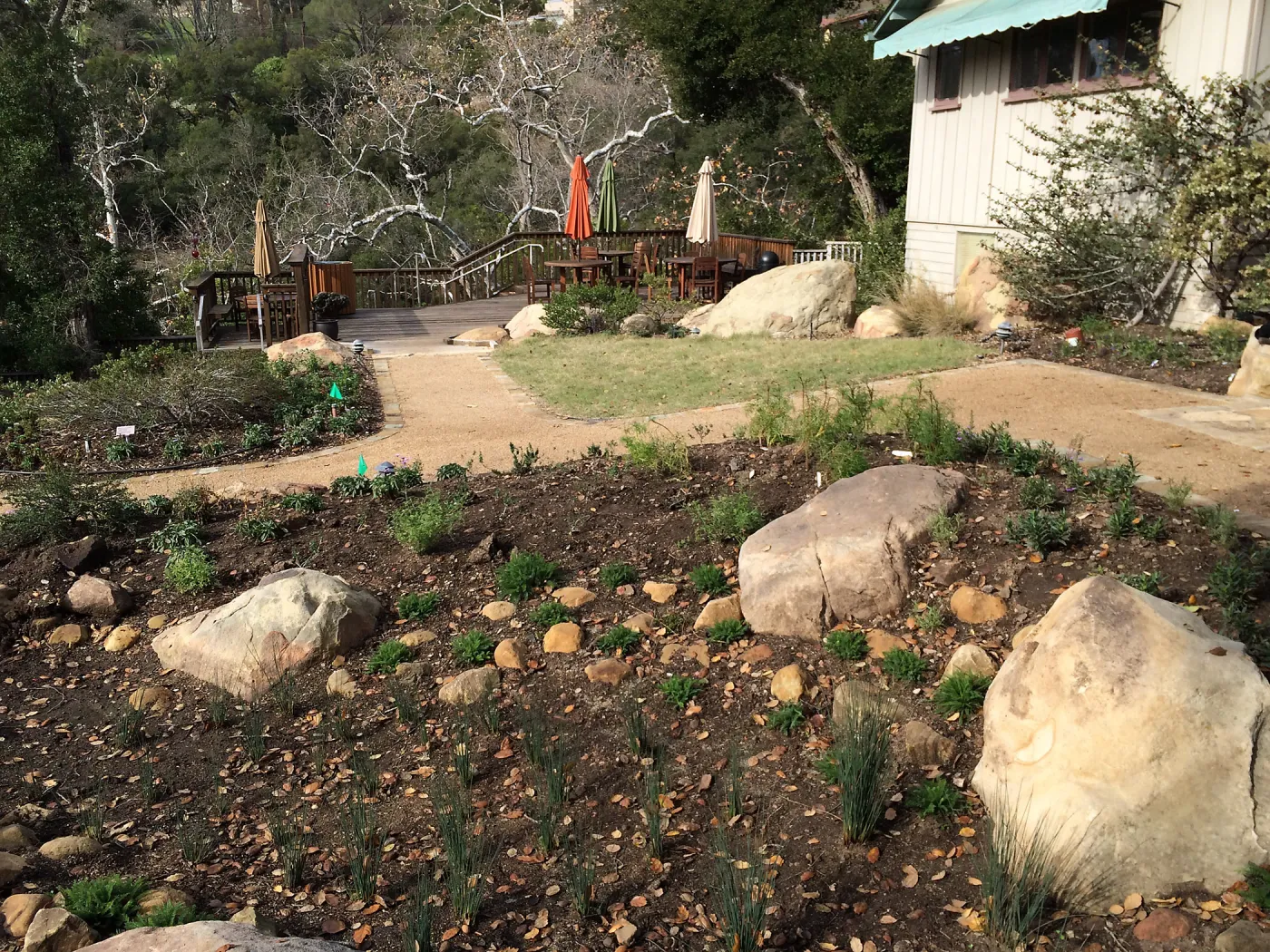 First plantings at Water Wise Home Garden