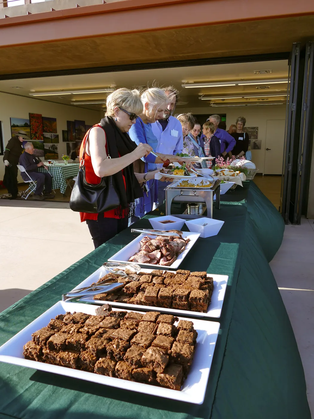 Members Picnic 2017