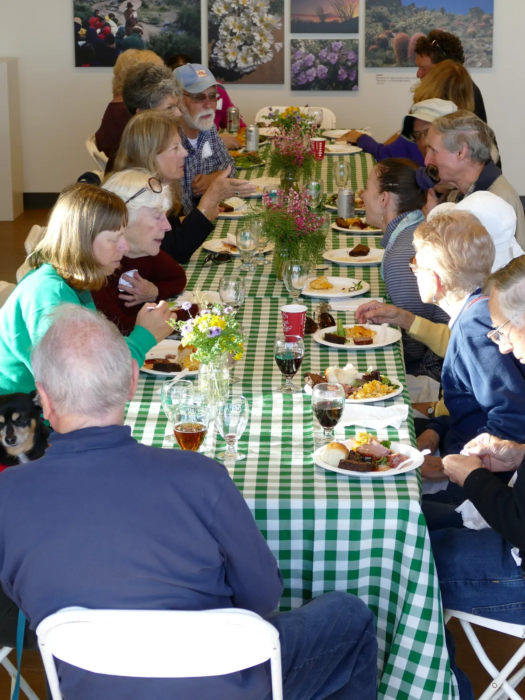 Members Picnic 2017