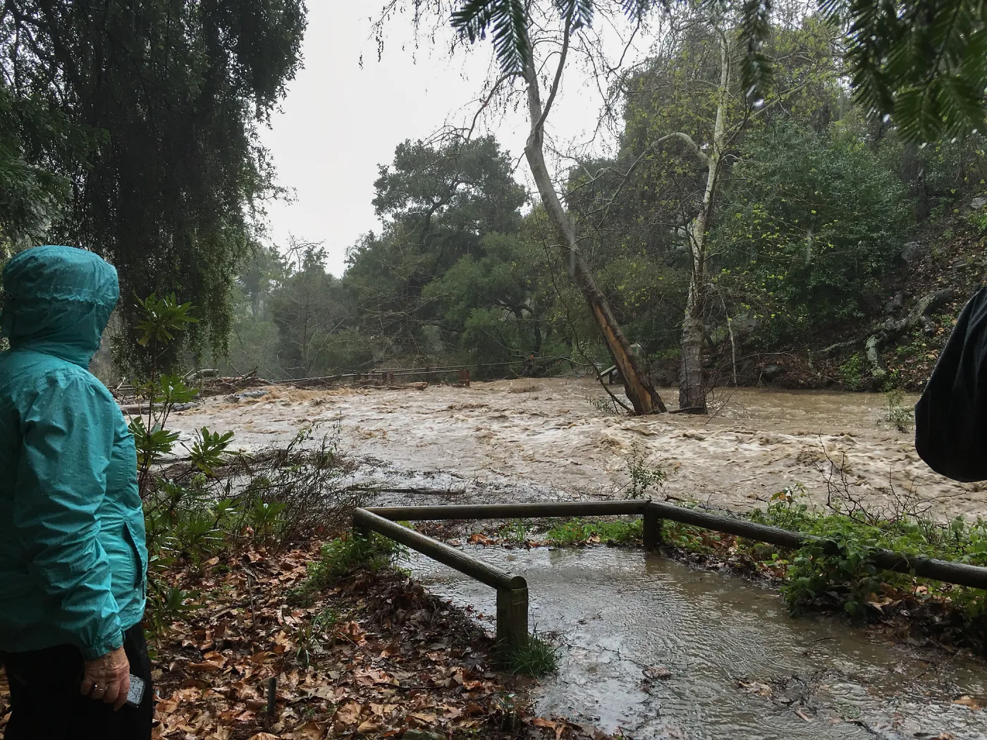 Mission Creek flowing towards Mission Dam during rainstorm