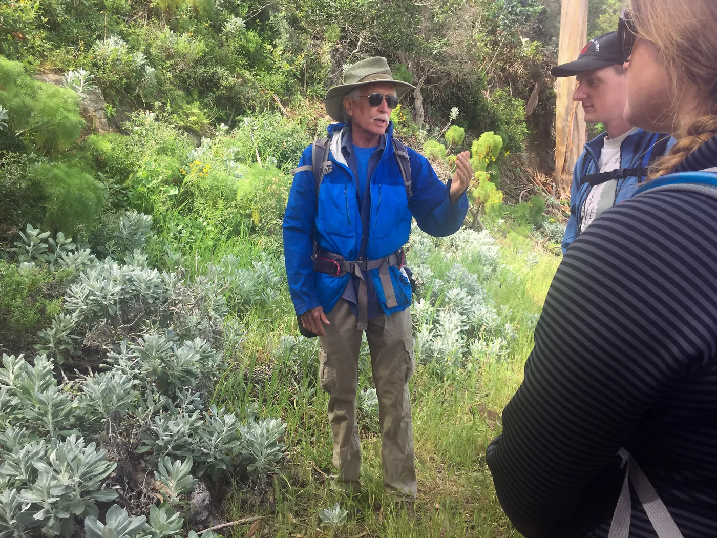 California Botanist Society trip to Santa Cruz Island with Steve Junak