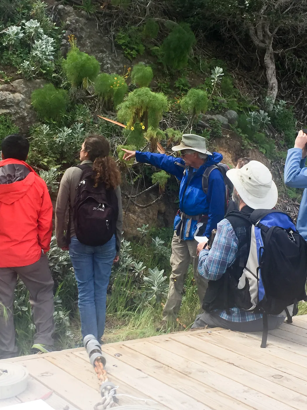 California Botanist Society trip to Santa Cruz Island with Steve Junak