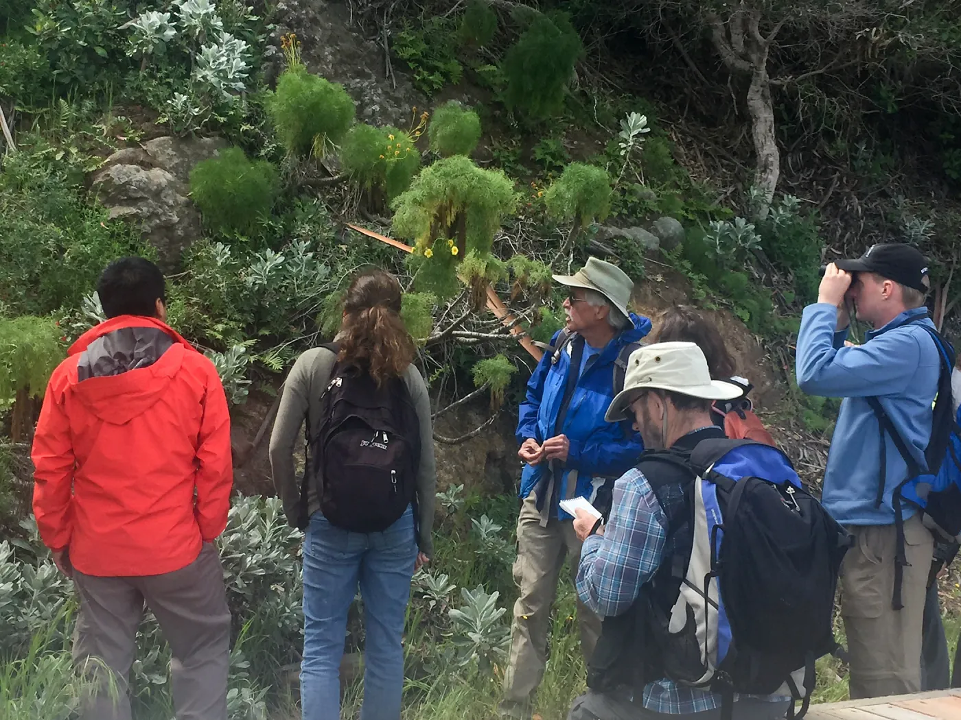 California Botanist Society trip to Santa Cruz Island with Steve Junak