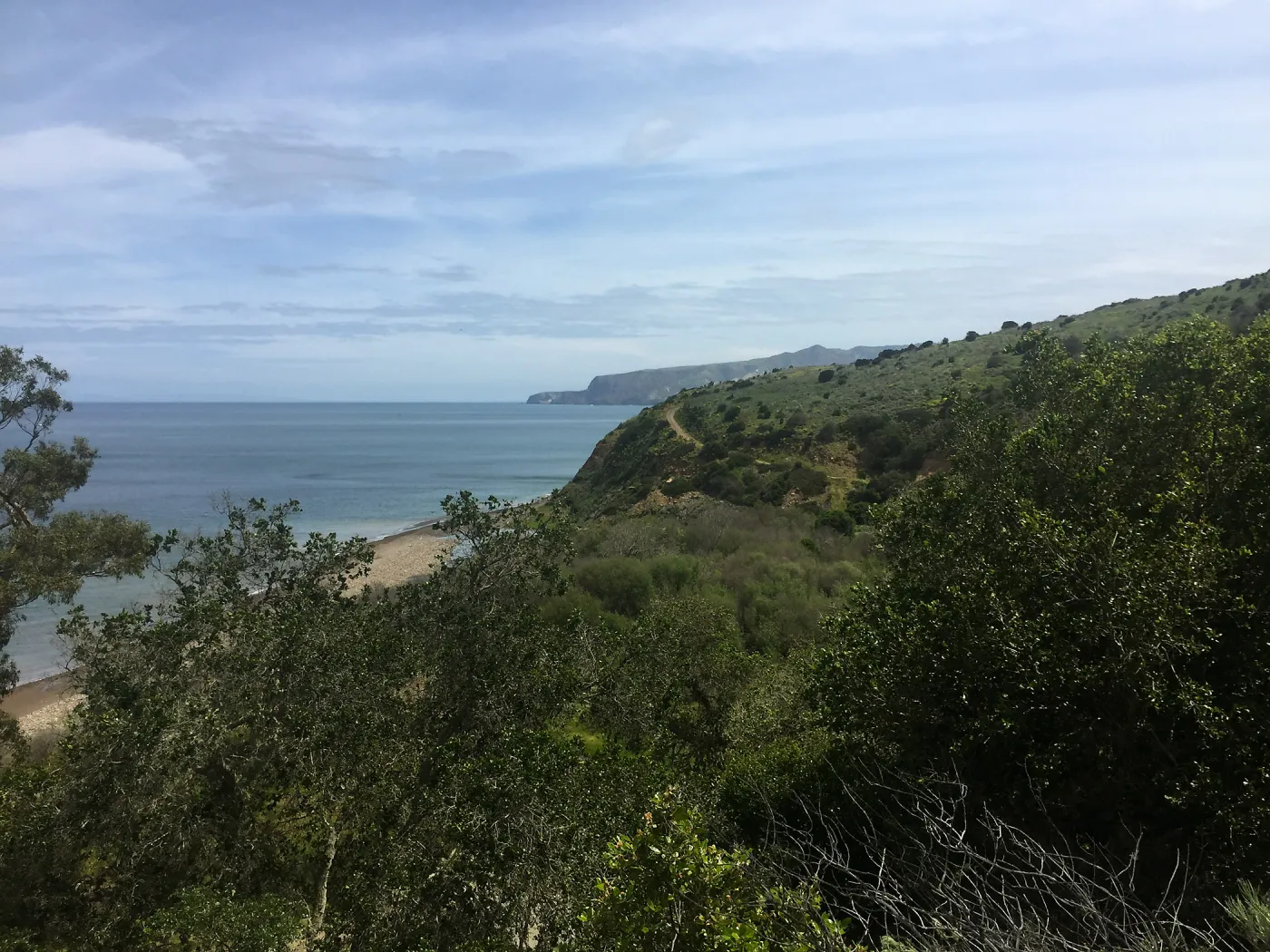 California Botanist Society trip to Santa Cruz Island with Steve Junak